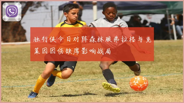 独行侠今日对阵森林狼弗拉格与克莱因因伤缺席影响战局