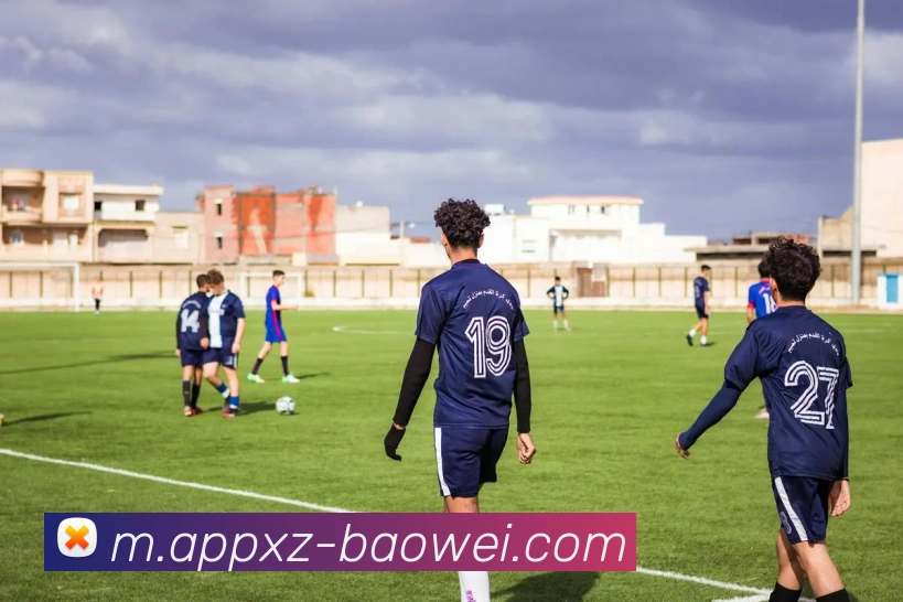 宝威体育APP 封面图